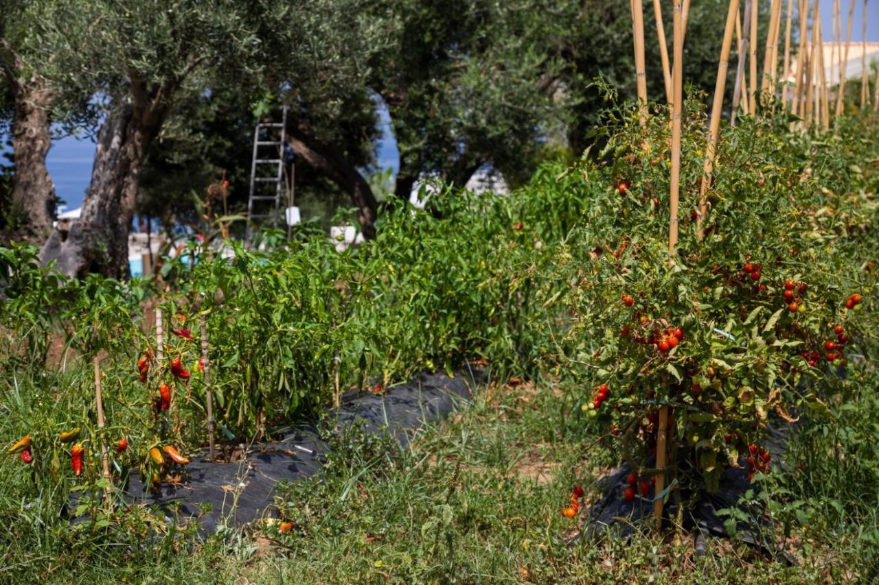 קאפו ואטיצ'אנו La Meridiana מראה חיצוני תמונה